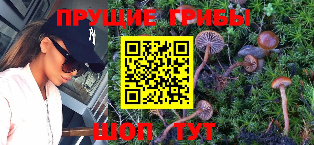 Псилоцибиновые грибы мицелий Ревда