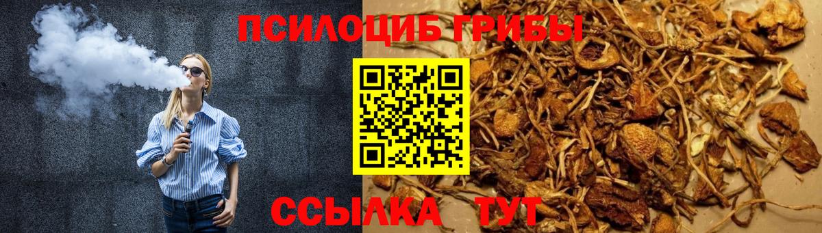 Ревда  Галлюциногенные грибы GOLDEN TEACHER  Вход с VPN 